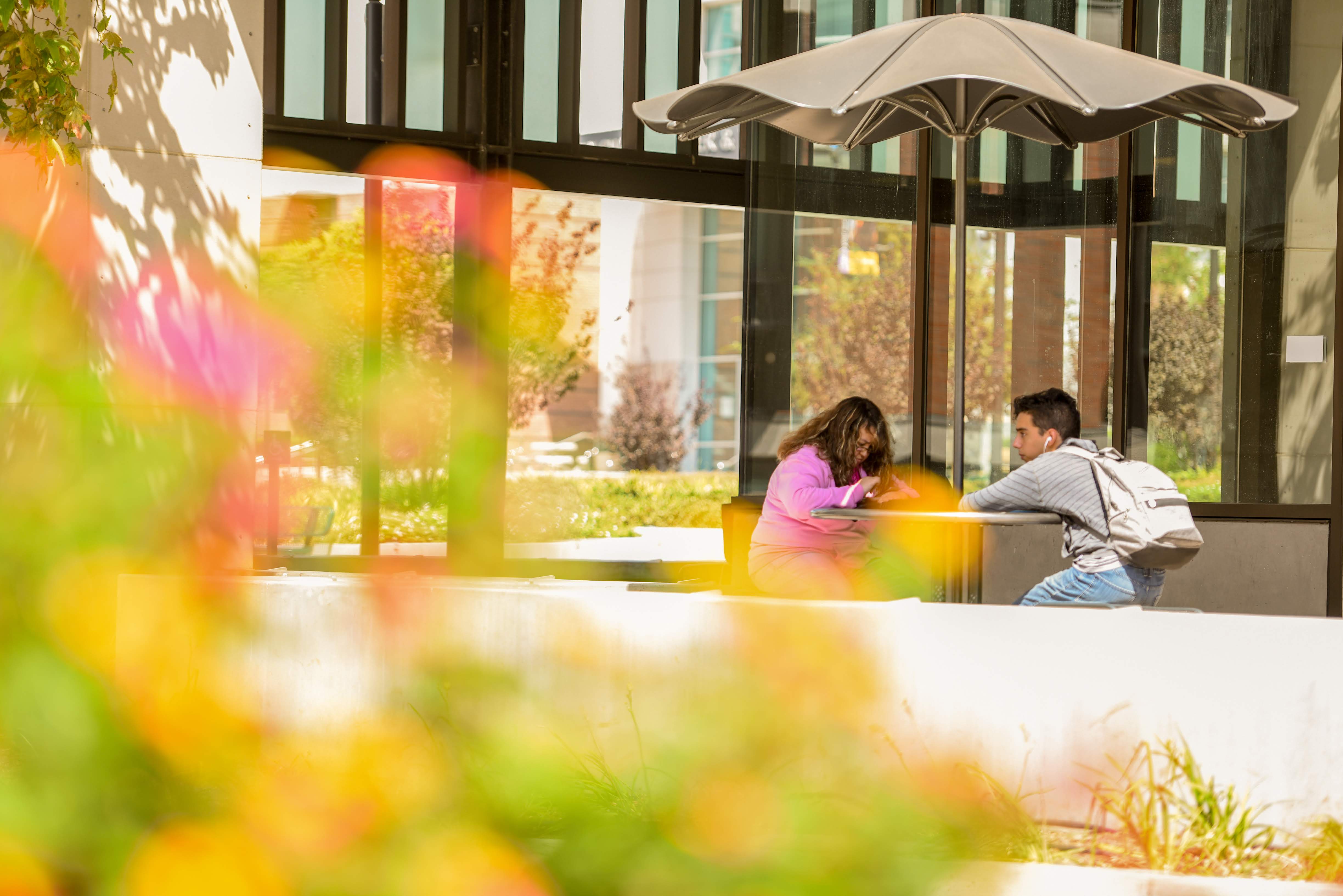 Transfer Programs ELAC Transfer Programs ELAC