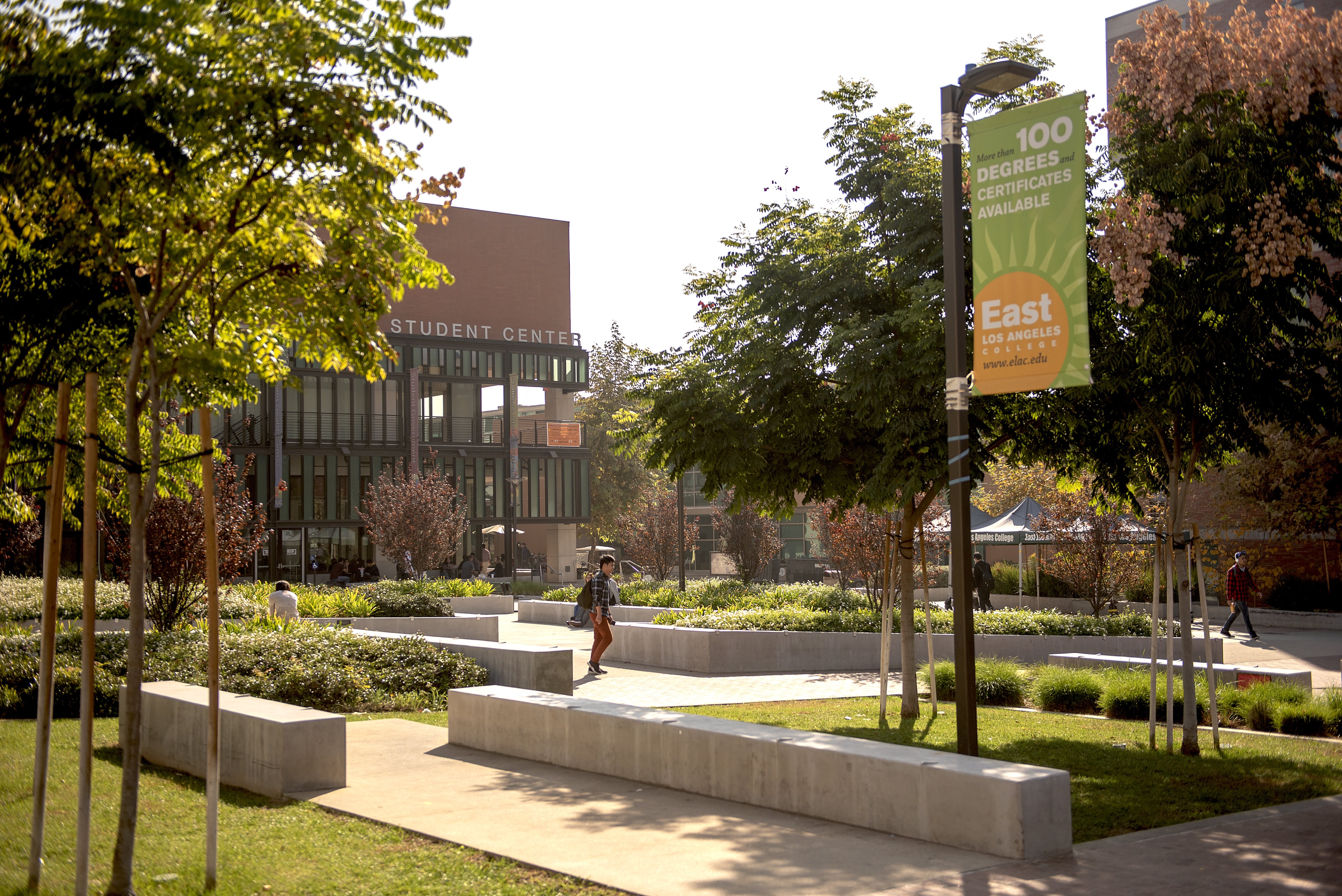 Student Walking on Campus