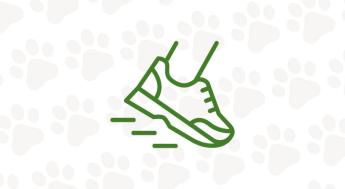Icon of running shoe.