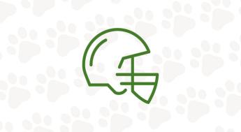 Icon of football helmet.