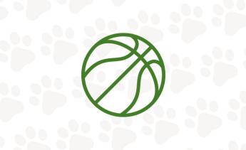 Icon of basketball.
