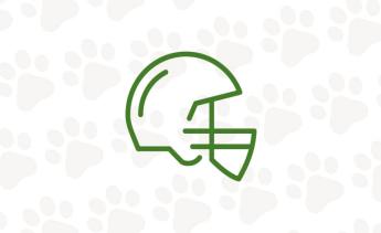 Icon of football helmet.