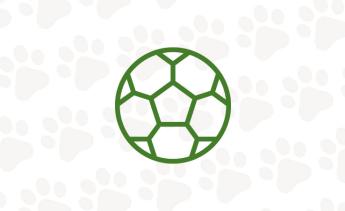 Icon of soccer ball.