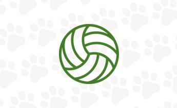 Icon of volleyball.