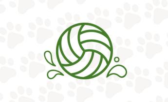 Icon of water polo ball.