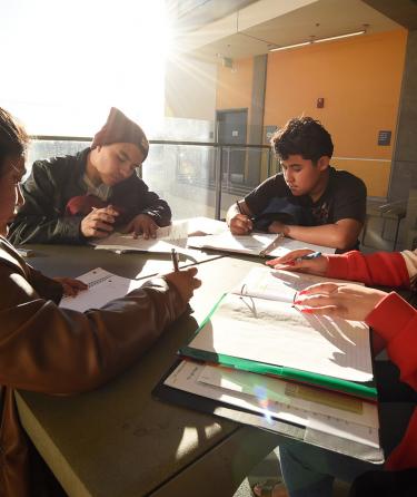 Study Group Reading in the Balcony