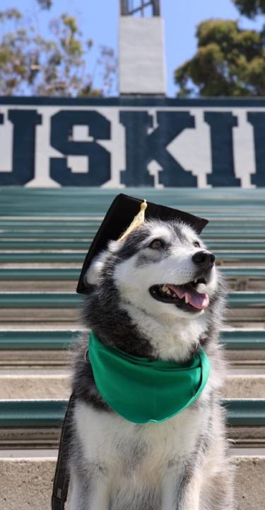 Huskies Graduation at Huskies Stadium