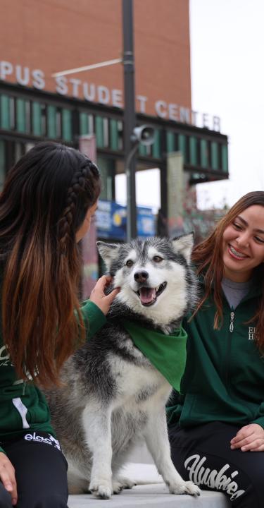 Two students sitting on a bench at the EALC campus petting a husky dog.