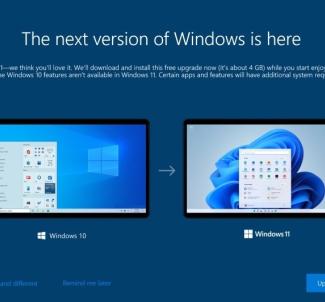 Windows 11