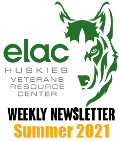 VRC Newsletter Summer 2021 Logo