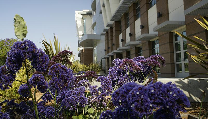 Garden of ELAC Campus