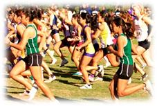 Image of Students on Field Training