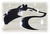 Husky Logo