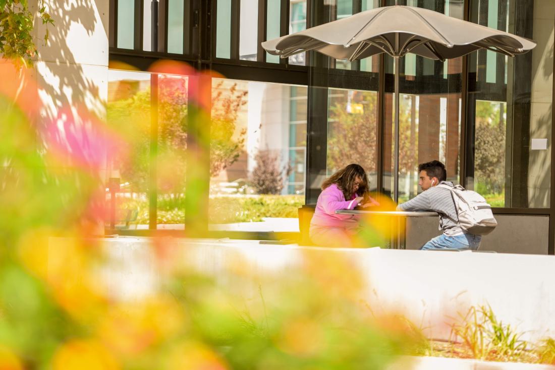 Students Talking at Campus