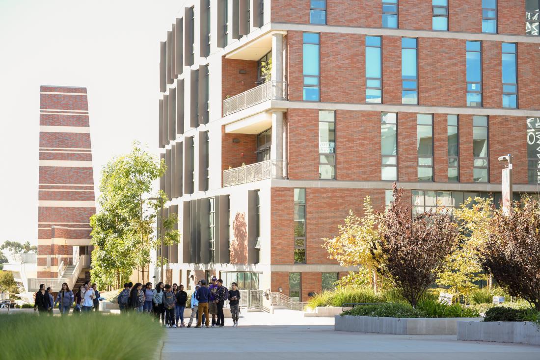 Students Visiting the Campus