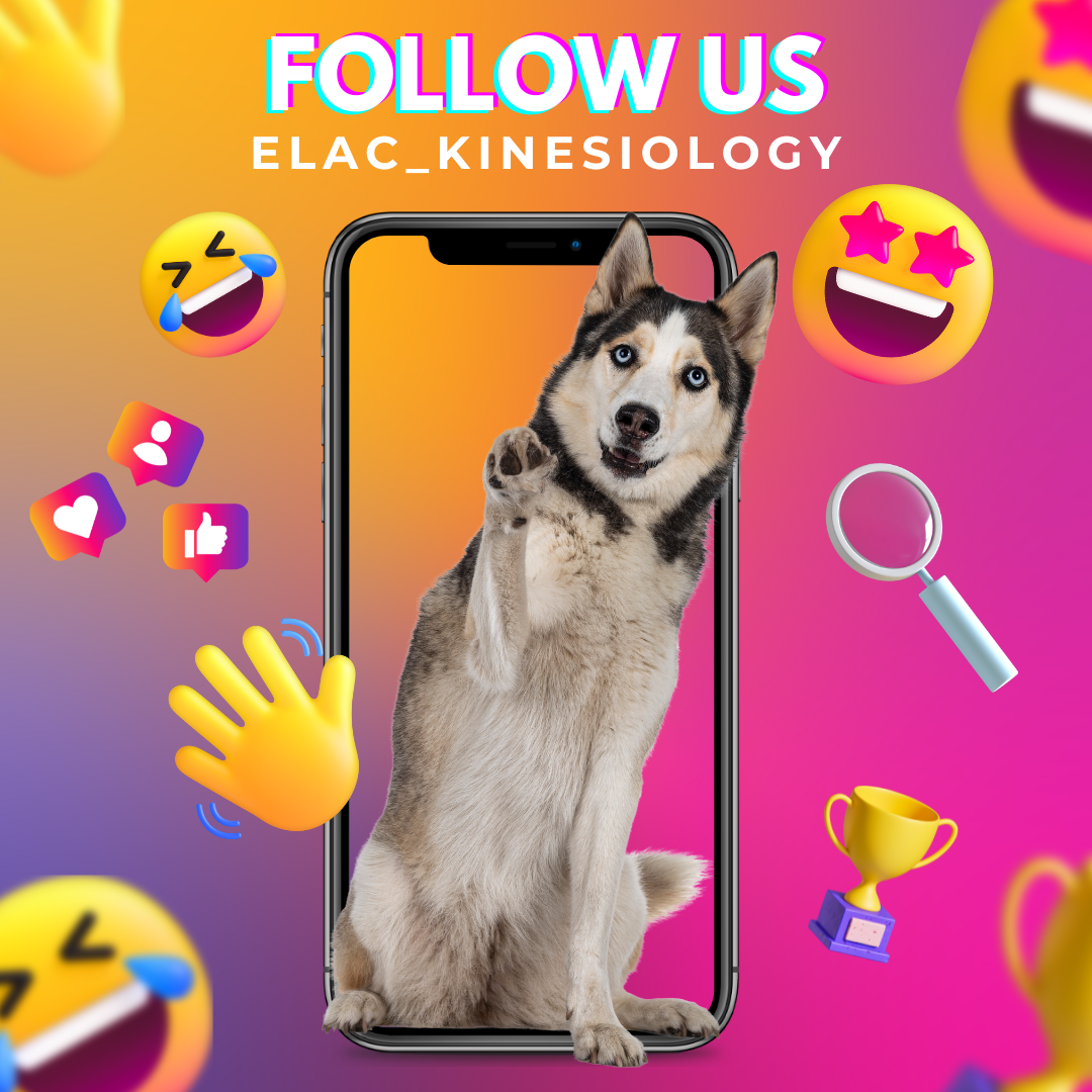 Follow Us on Instagram 