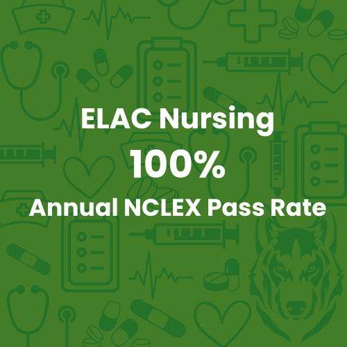 100% Pass Rate