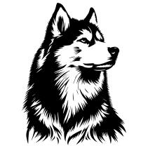 Huskey picture as place holder